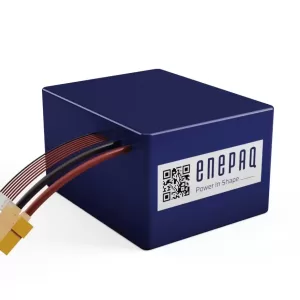 Li-ion 12000 mAh 6S4P 21.6v Battery Pack